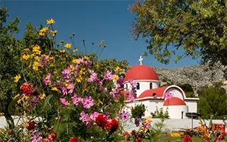 Греция: уникальная флора острова Крит поражает туристов